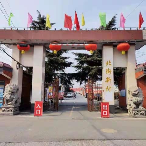 巾帼力量显风采一一殷都区水冶镇北街创建“美丽庭院”示范村