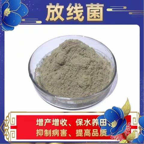 放线菌  用于瓜果蔬菜种植促生根用菌种