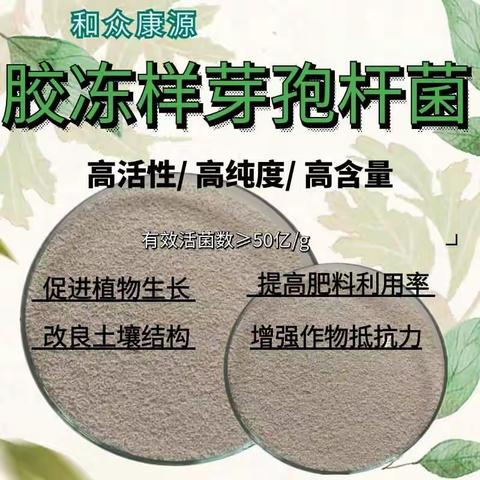 胶冻样芽孢杆菌的使用方法和产品优势