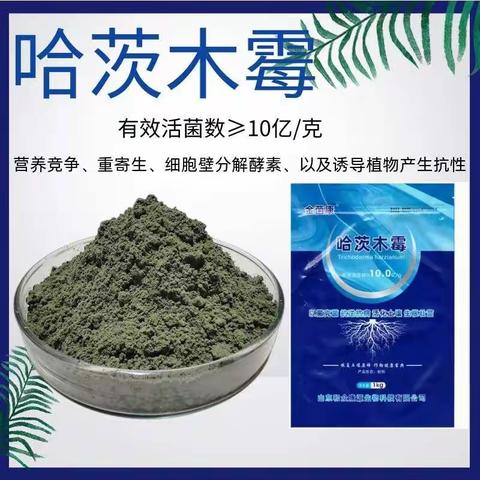 10亿全水溶哈茨木霉  草莓种植用菌种