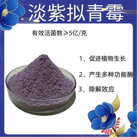 淡紫拟青霉   瓜果蔬菜、农作物种植预防根结线虫用菌种