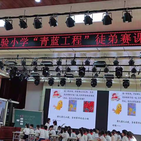 初夏风光无限长   “青蓝结对”促成长