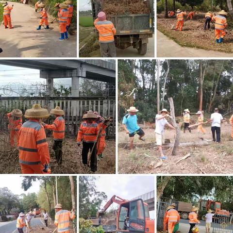 文罗镇持续开展高铁高速沿线环境卫生整治与巡查工作