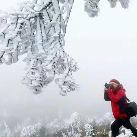 南方的北国风光