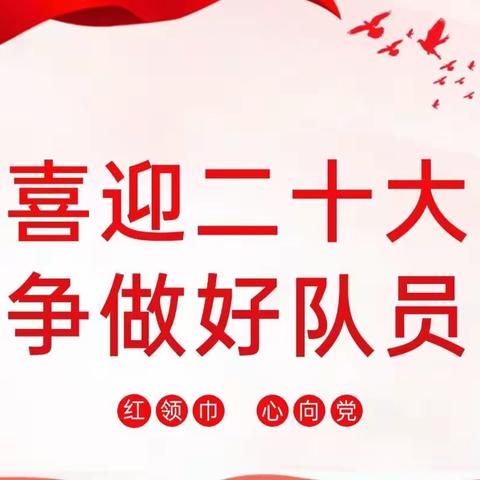 喜迎二十大，争做好队员——台儿庄区涧头集镇徐楼小学开展队前教育活动