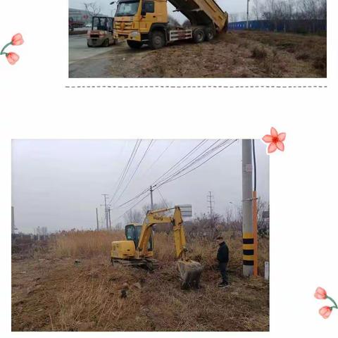 “植”此青绿正当时，不负春季好时光