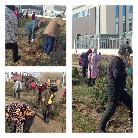 春风十里这抹绿，不负辛勤园林人——春栽持续发力中