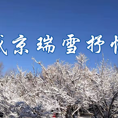 盛京瑞雪抒怀