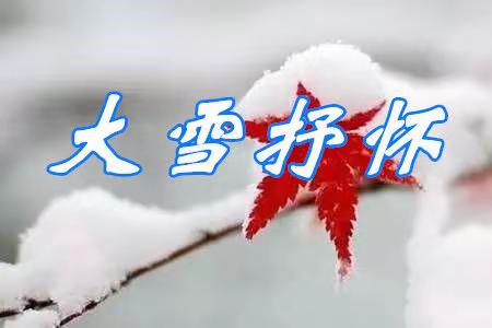 大雪抒怀