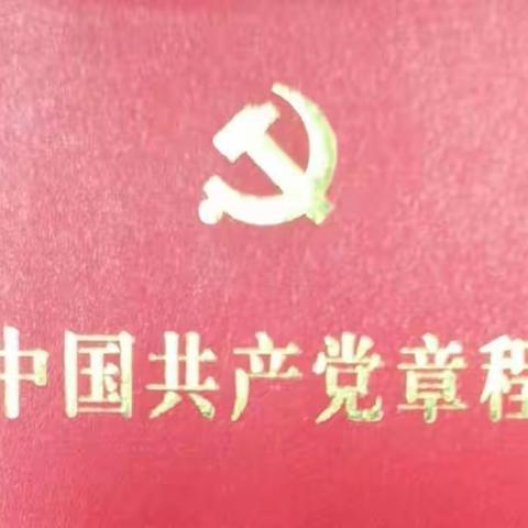 【马庄供电所党支部】关于开展2022年7月份主题党日活动——重温入党誓词，学习《中国共产党章程》