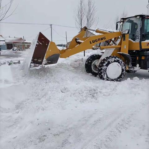 抗击暴雪最美村书记