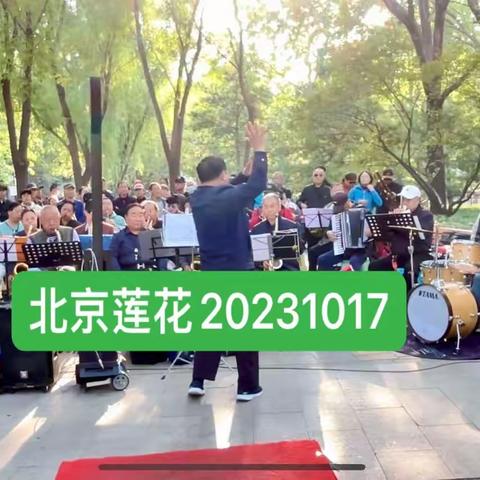 秋日浓浓镜头下的莲花人😊分享北京莲花合唱团2023年10月17日歌场纪实照片