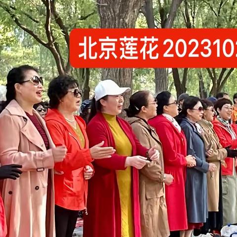 落叶已向大地寻找归宿坠入十月晚秋，时光冉冉，北京莲花人歌声依旧在莲花池畔响起～分享歌场照片20231028周六