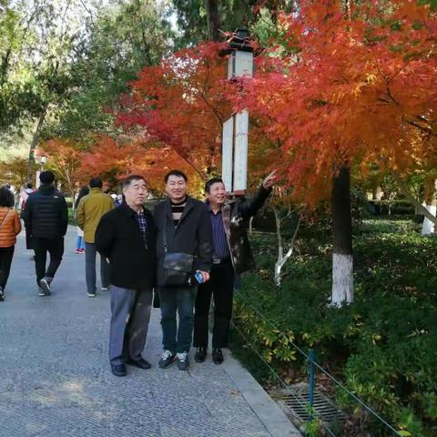 南京栖霞寺旅游记/张芳玉（副本）