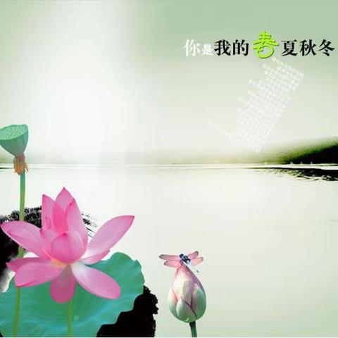 班级简讯06