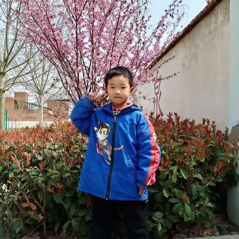 班级简讯13