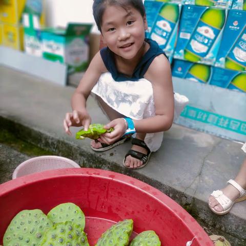 柳城小学“2021你好，暑假”之雷妙涵实践小记