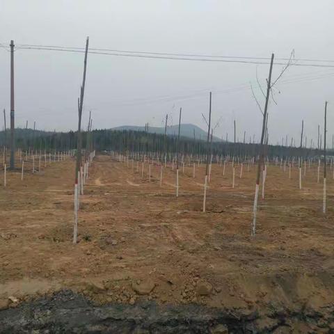 康二城镇309国道整治（十）