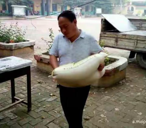 你们辛苦了! 康二城镇乡镇干部