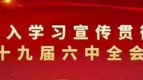 张塝镇人大：聚力优化营商环境 人大代表在行动