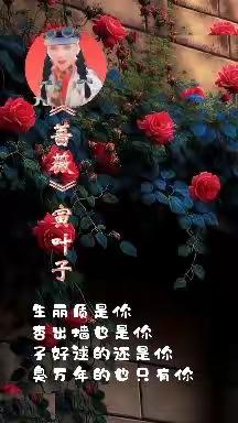 俏皮诗歌《蔷薇》