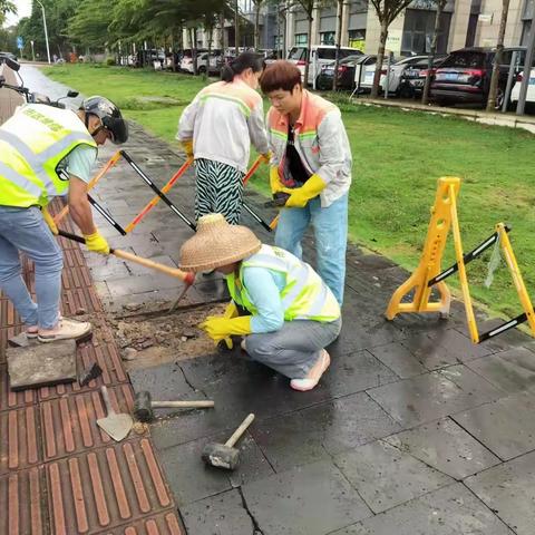 市政局维修公司工作简报（2023年 11月6日）