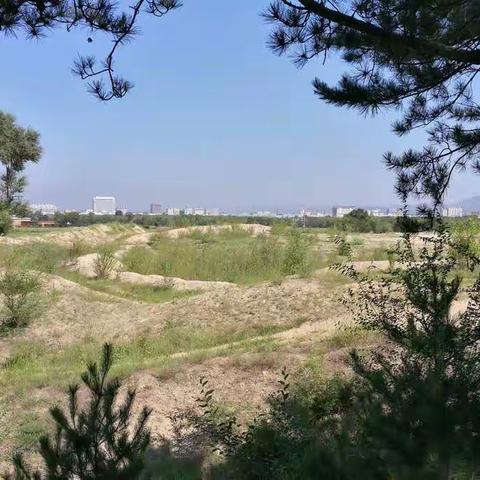 小城远眺