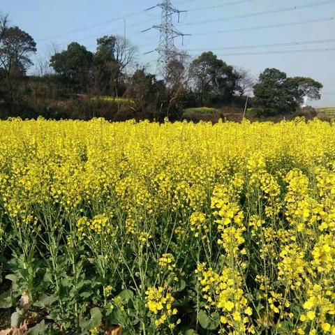 心情好，处处皆风景！