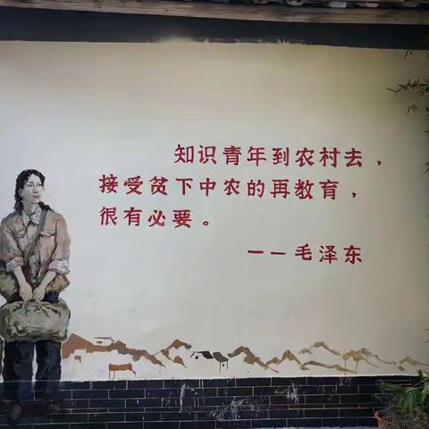 高州师范附属金阳学校六(4)班研学旅行