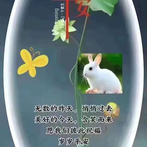 辽东客1987spg的美篇