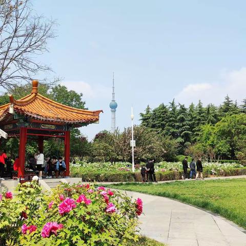 4月11日洛阳国花园览胜