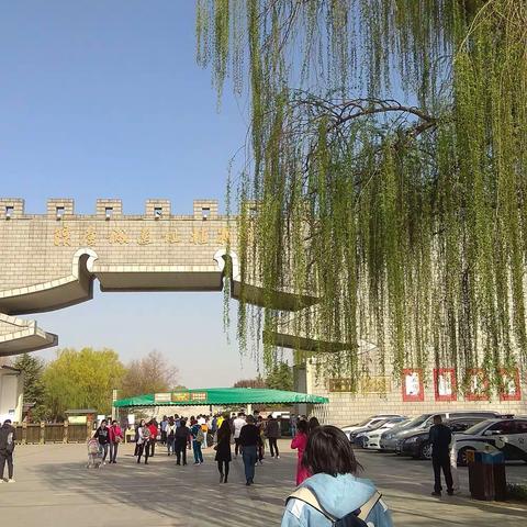 春分踏青隋唐园