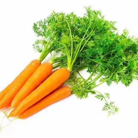 大城春蕾幼儿园小中班快乐涂色之胡萝卜🥕