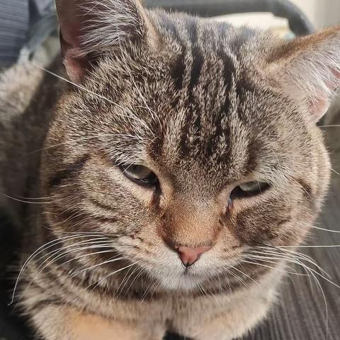 有味道的知识——论香和臭