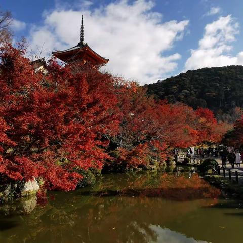 八、京都一日游