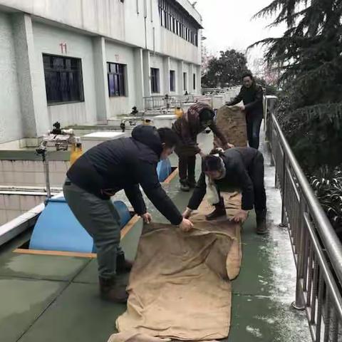 冰雪来临，迅速做好防范应对工作