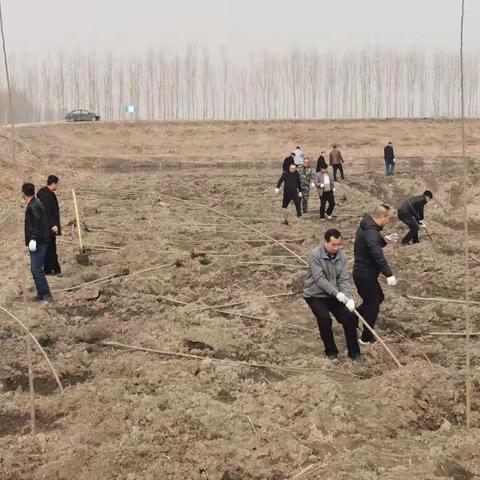 玉田县组织联合执法行动依法打击春季河道非法种植行为