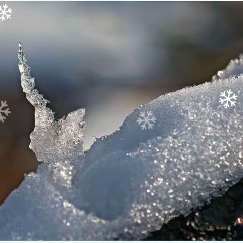 雪白樱红·冬至前夜忆昆明二题