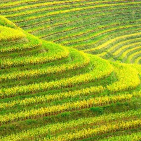 人如风景