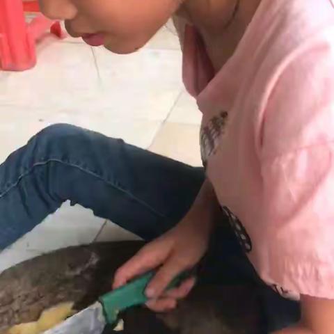 愉快的假期已结束，岑外的娃们收获多多，你们是最棒的👍👍👍👍❤️🌹