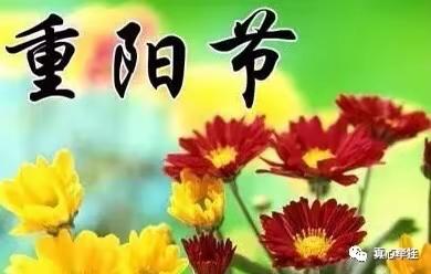 太阳二班《九九重阳 敬老情长》主题活动