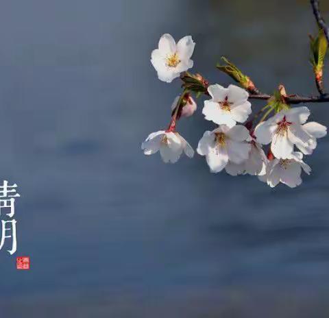 四月清明暖春风