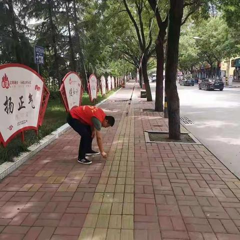 七一路云梦堤社区开展国卫提升环境卫生整治活动