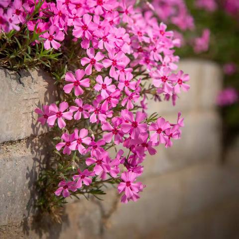 武汉聚师网故事坊：广东爱情故事