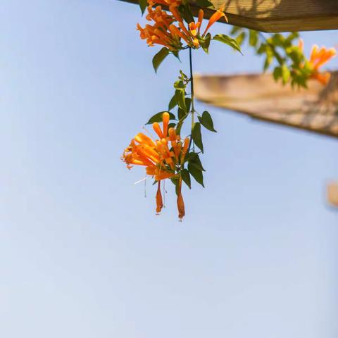 武汉聚师网故事坊：北京爱情故事