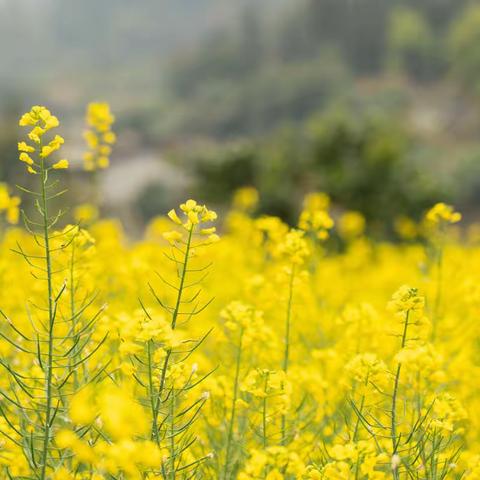 武汉聚师网故事坊：光荣的荆棘路