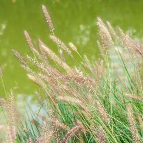 武汉聚师网日记系列之人生的试卷