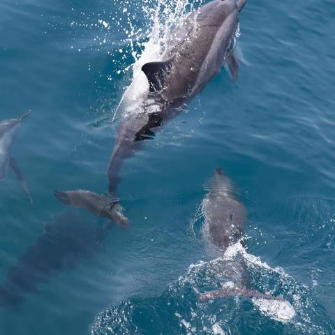 武汉聚师网日记系列之小辣椒不让独头蒜
