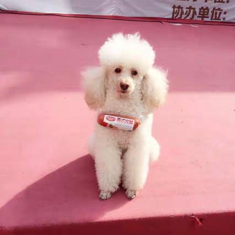 我们的小公主👸🏻