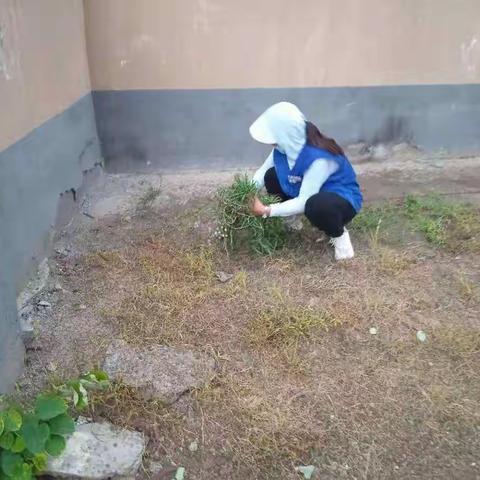 兴东蓝色遮阳伞，除去杂草，显出英雄想法